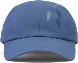 Reebok Czapka z daszkiem Tech Style Dad Cap HE2440 Niebieski