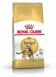 Royal Canin Bengal Adult - sucha karma dla dorosłego kota - 10 kg