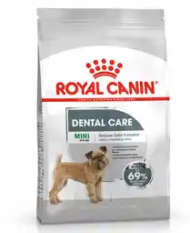 Royal Canin CCN Mini Dental Care 8kg karma sucha dla psów dorosłych, ras małych, redukująca powstawanie kamienia nazębnego