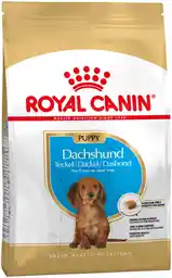 Royal Canin Dachshund Puppy 1,5kg karma sucha dla psów