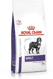 Royal Canin Dog Adult Large 13kg karma sucha dla psów