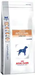 Royal Canin Dog Gastro Intestinal Low Fat Canine 1.5 kg - sucha karma dla psów o obniżonej zawartości tłuszczu i z zaburzeniami żołądkowo jelitowymi 1.5kg