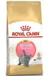 Royal Canin FBN British Shorthair Kitten - sucha karma dla kociąt - 2 kg