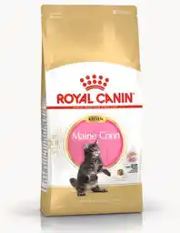 Royal Canin FBN Maine Coon Kitten - sucha karma dla kociąt - 2kg