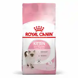 Royal Canin FHN Kitten - sucha karma dla kociąt - 4kg