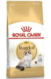 Royal Canin Karma dla kota Ragdoll Adult Kurczak 2 kg sucha