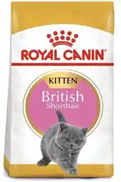 Royal Canin Karma sucha dla kociąt British Shorthair Kitten 10 kg