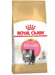 Royal Canin Karma sucha dla kociąt Persian Kitten 10 kg