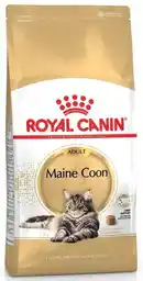 Royal Canin Karma sucha dla kotów Maine Coon Adult 4 kg