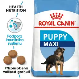 Royal Canin Maxi Puppy 4 kg - sucha karma dla szczeniąt rasy dużej 4kg