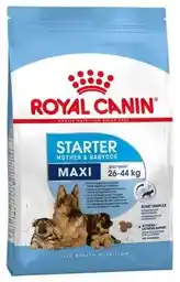 Royal Canin Maxi Starter Mother & Babydog 15 kg - sucha karma dla suk i szczeniąt 15kg