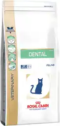 Royal Canin Sucha karma dla kota Dental S/O DSO 29 1,5kg