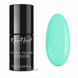 Summer Mint Neonail