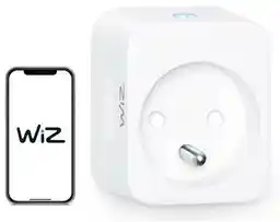 WiZ z uziemieniem Smart plug