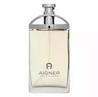 Aigner Pour Homme woda toaletowa 100 ml