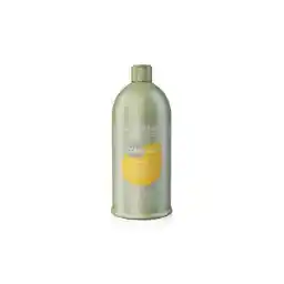 Alter Ego Silk Oil Szampon dyscyplinujący włosy 950 ml