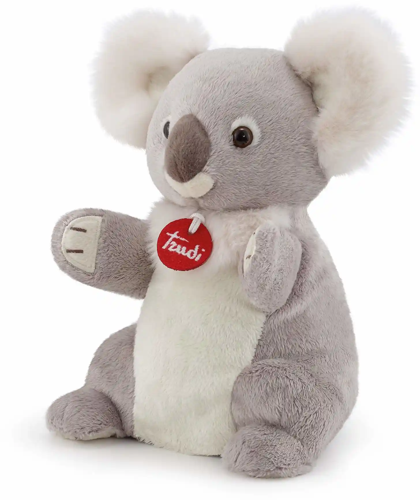 Dante Pacynka Koala Trudi