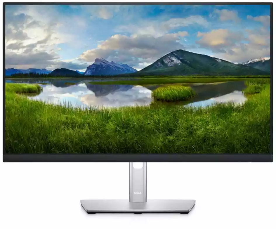 Dell P2422H 24 cale Full HD IPS 60Hz 8ms monitor LED