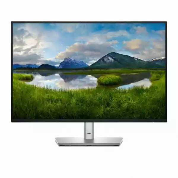 Dell P2425 24 cale Full HD IPS 100Hz 5ms monitor LED