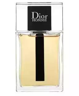 Dior Dior Homme 2020 woda toaletowa 100 ml