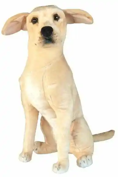 Dubi Labrador 66Cm