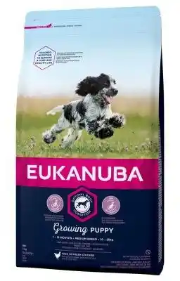 Eukanuba Puppy&Junior Medium Breed 15kg