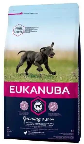 Eukanuba Puppy Large Breed Chicken 15 kg - sucha karma dla psa kurczak 15kg