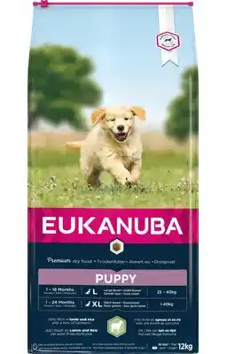 Eukanuba Puppy Large & Giant Breed, jagnięcina i ryż - 12 kg