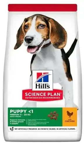 Hills Science Plan Puppy