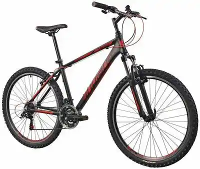 Indiana Rower górski MTB X-Pulser 1.6 M17 26 cali męski Czarno-czerwony