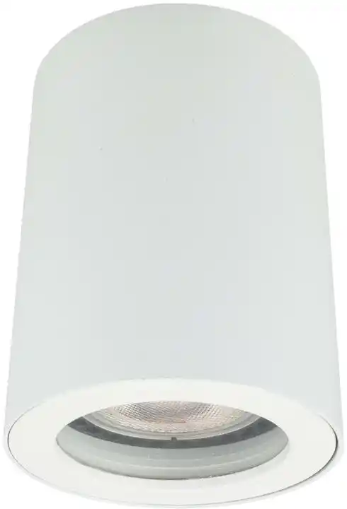 Light Prestige Oprawa natynkowa Faro biała IP65 LP-6510/1SM WH