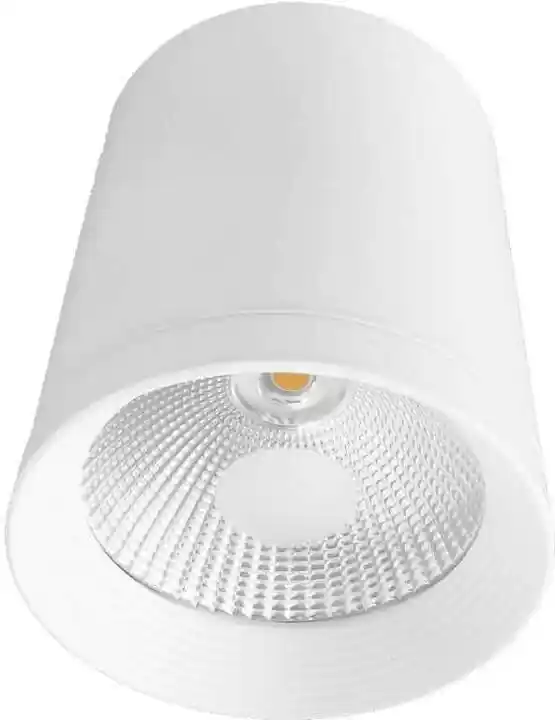 Light Prestige Zovo 1 oprawa natynkowa biała LP-32015/1SM WH