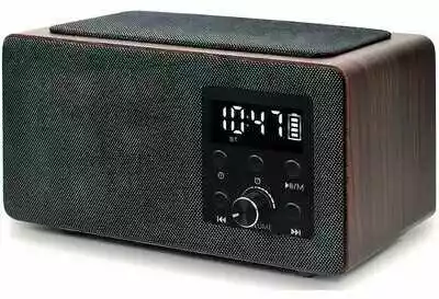 Manta Radiobudzik RDI910WC