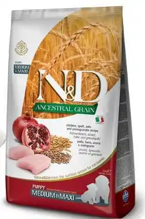 N&d Ancestral Grain Dog Farmina N&D Ancestral Grain Puppy Medium & Maxi, kurczak i owoc granatu - 12 kg