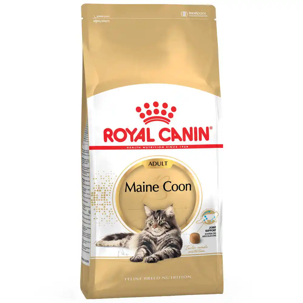 Royal Canin FBN Maine Coon Adult - sucha karma dla dorosłego kota - 10kg