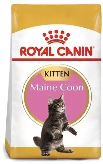 Royal Canin FBN Maine Coon Kitten - sucha karma dla kociąt - 10kg