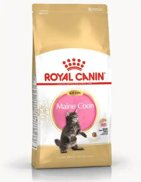 Royal Canin FBN Maine Coon Kitten - sucha karma dla kociąt - 4kg