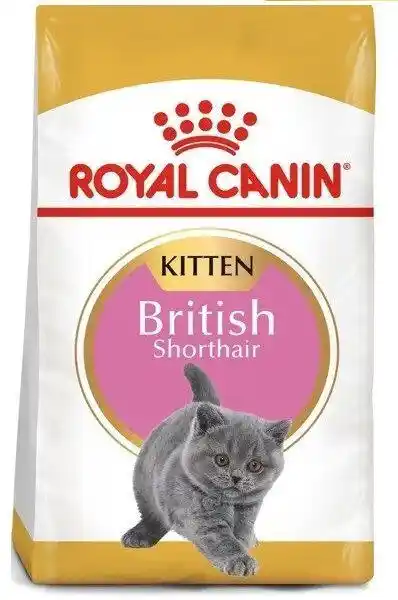 Royal Canin Karma sucha dla kociąt British Shorthair Kitten 10 kg