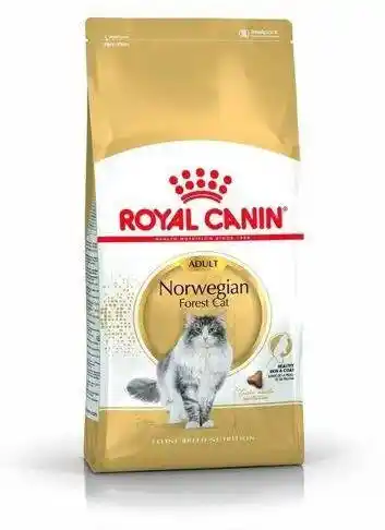 Royal Canin Karma Sucha Dla Kota Norvegian Forest Cat Adult 2 Kg