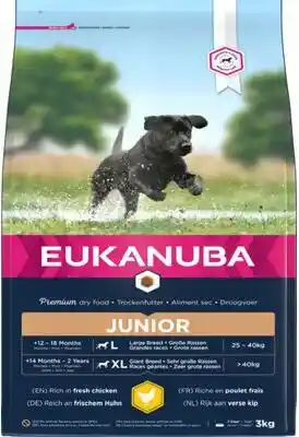 Tetra Gmbh Eukanuba Karma dla psów ze świeżą kurczaką, do dużych ras, sucha karma dla psów juniornych, 3 kg