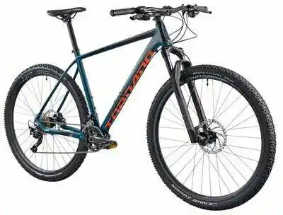 Torpado Rower górski MTB Storm X7 M19 29 cali męski Zielony