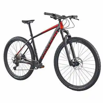 Torpado Rower górski Mtb Storm X8 29 cali męski