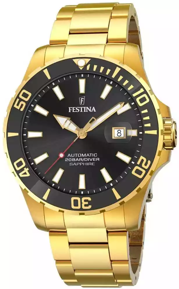 Zegarek Festina F20533/2