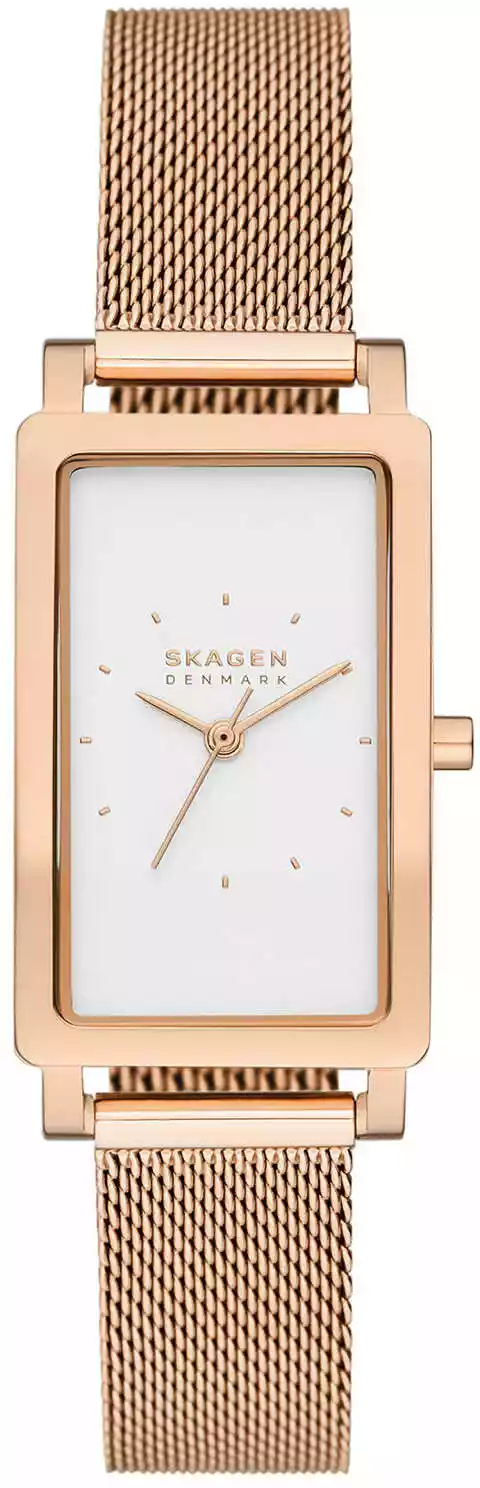 Zegarek Skagen SKW3095