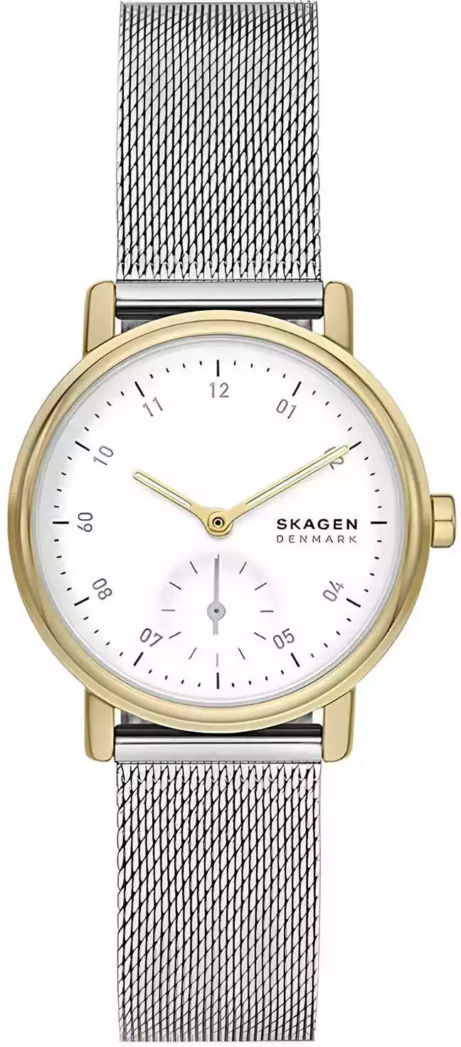 Zegarek Skagen SKW3101