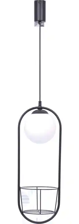 ZUMA LINE Lampa wisząca PLANT 1 PENDANT LAMP 5003 oprawa w kolorze czarnym